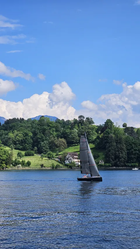 A racing sailboat on Lake Lucerne below wooded hills and tall summer clouds.