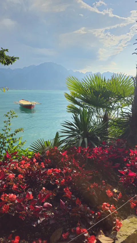 Palm fronds and red flowers framing Lake Geneva at Montreux, a boat on turquoise water.