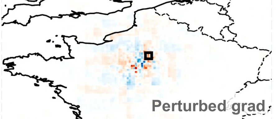 Perturbed gradient attribution map, visibly similar in structure but shifted relative to the clean map.